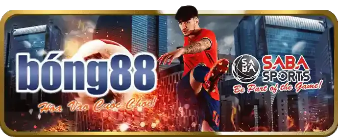 Cá cược bóng rổ 188cm win